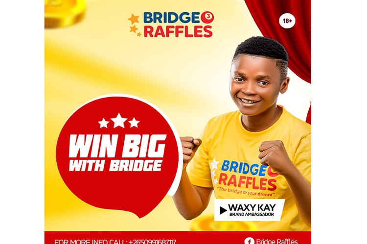 Bridge Raffles